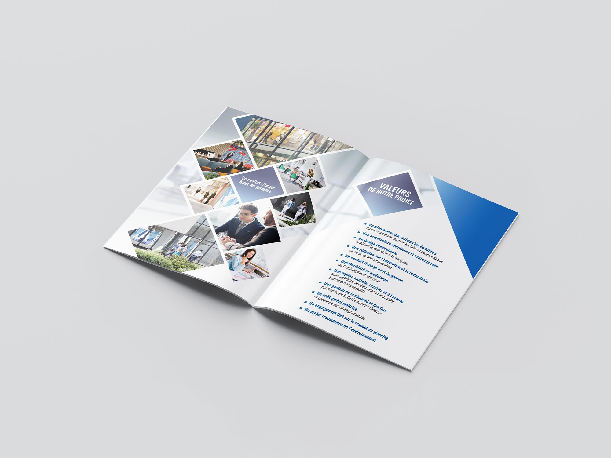 Contraportada del brochure